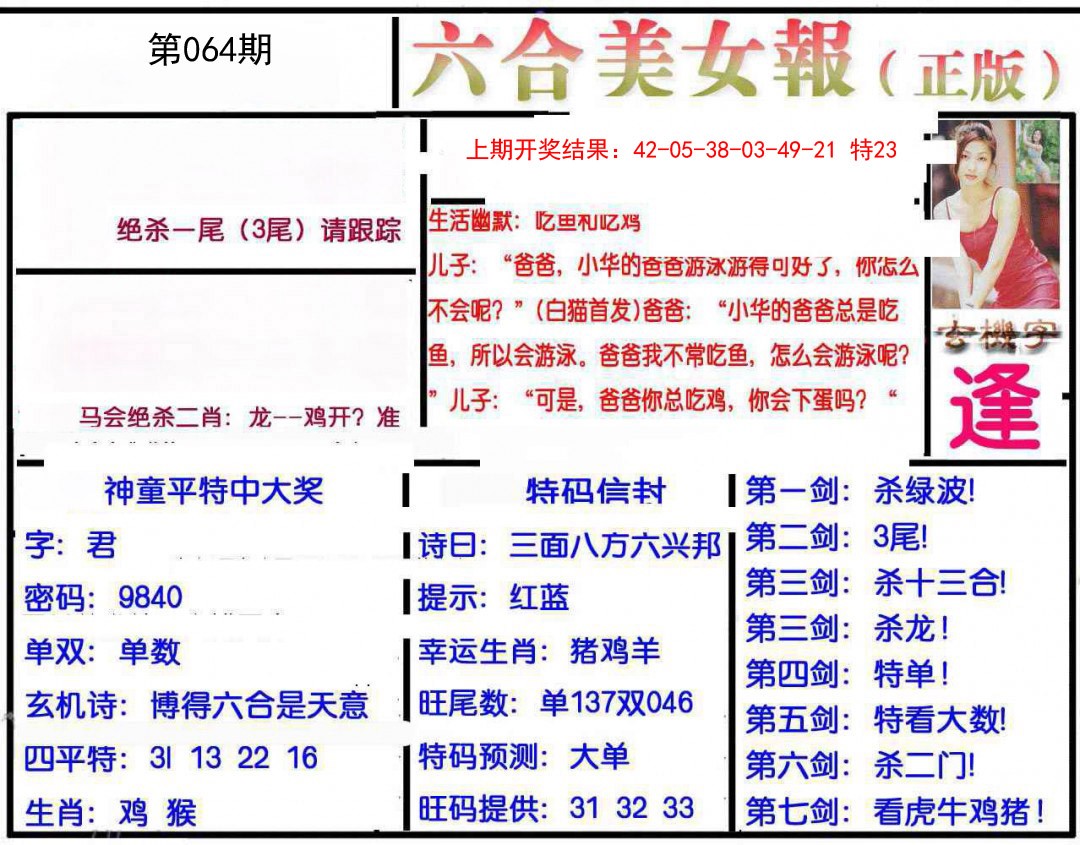 064期美女报[图]