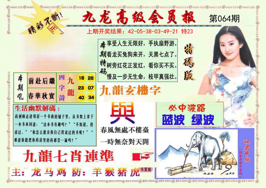 064期九龙高级会员报[图]