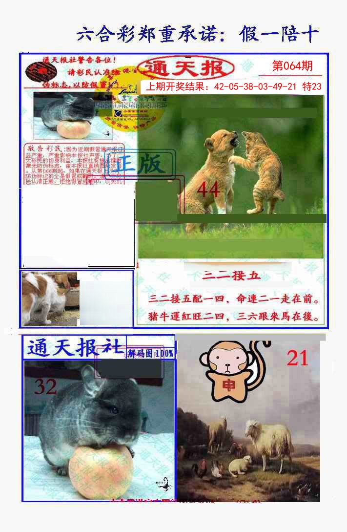 064期假一陪十通天报[图]