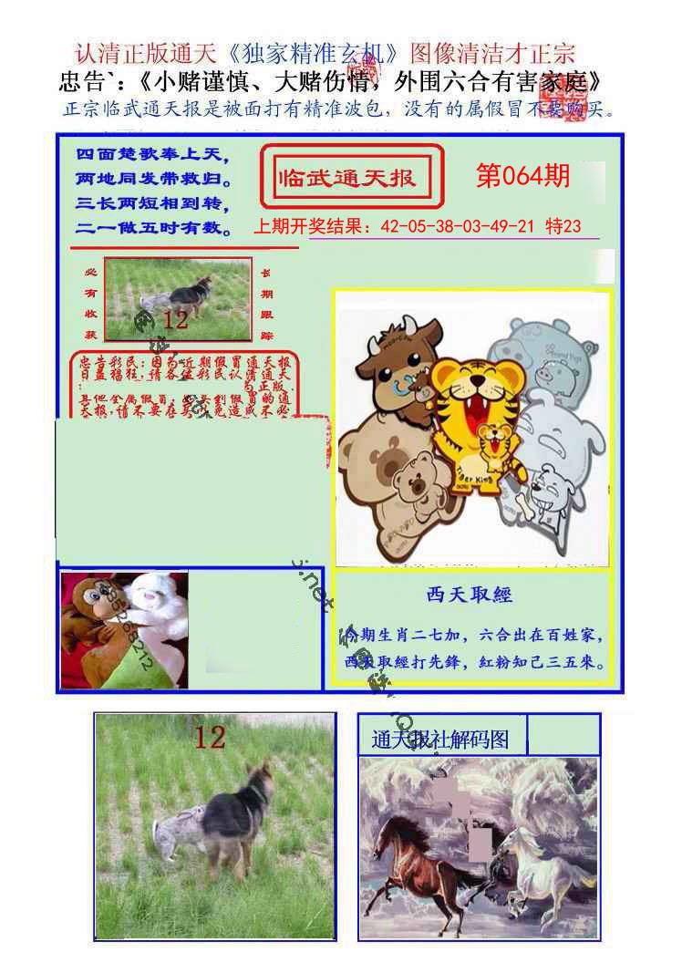 064期临武通天报[图]