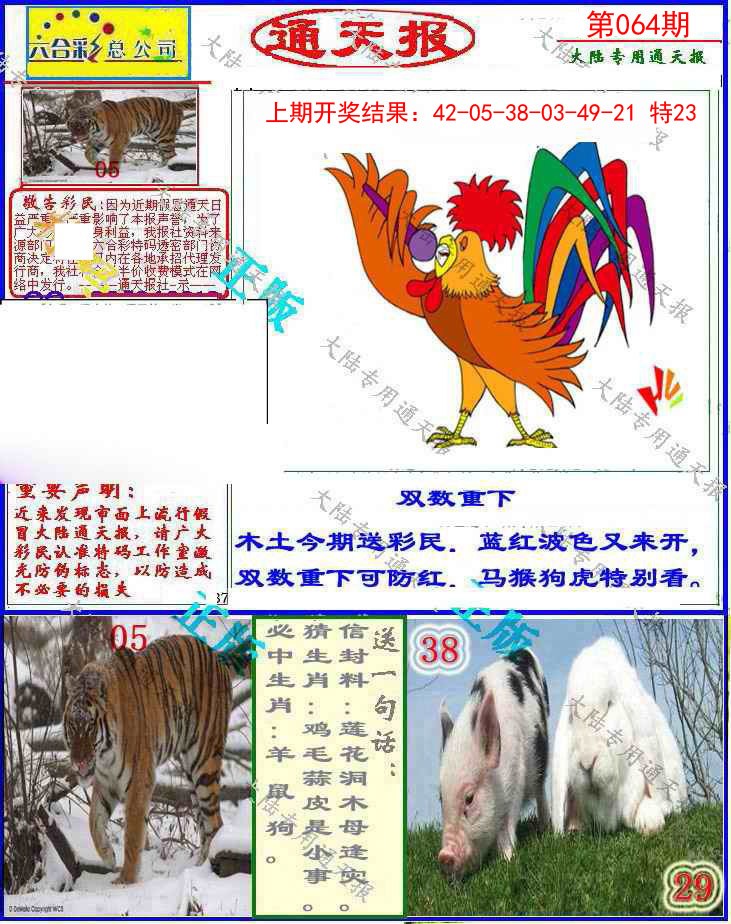 064期大陆通天报[图]