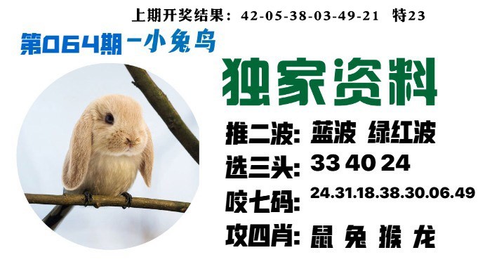 064期小兔鸟[图]