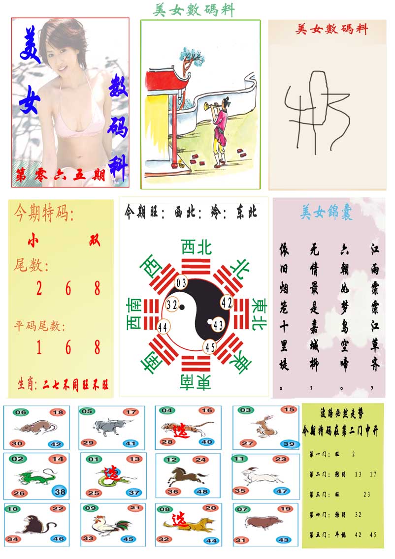 065期美女数码料[图]