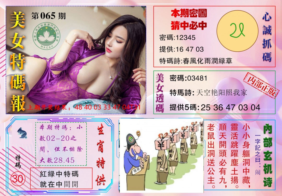065期美女特码报[图]