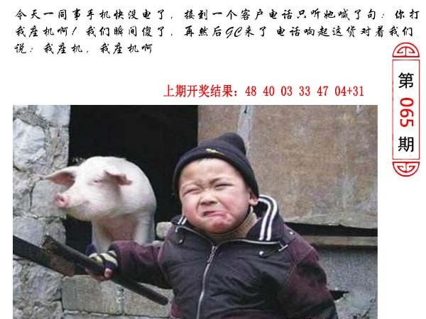 065期澳门生活幽默[图]