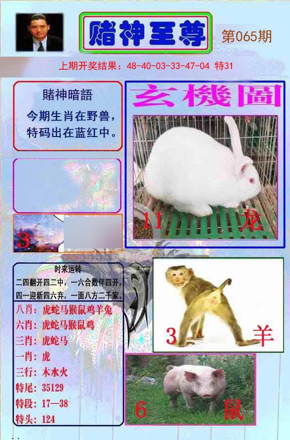 065期赌神至尊[图]