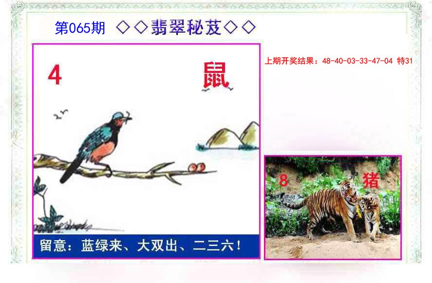 065期翡翠报[图]