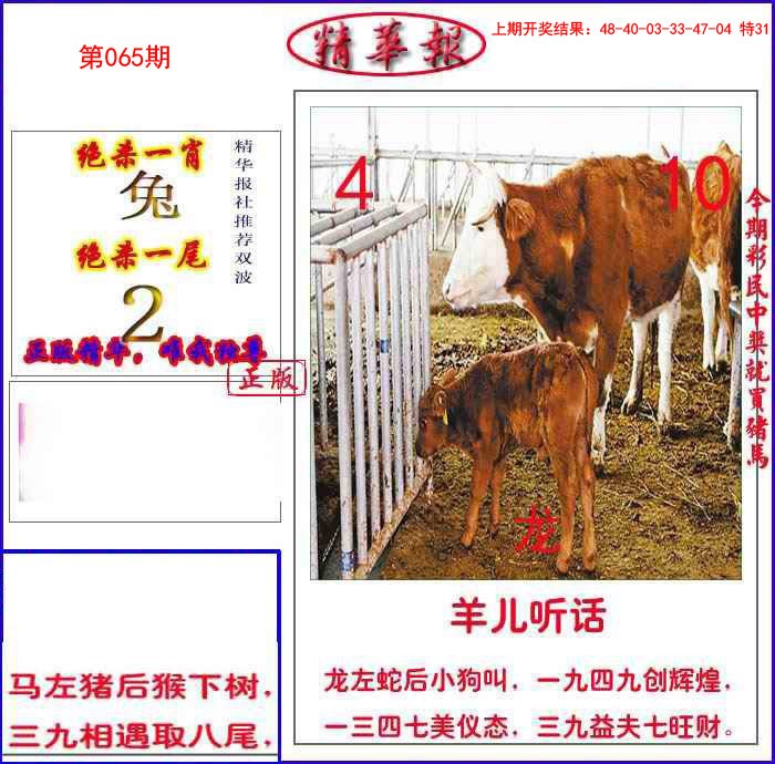 065期新精华报报[图]