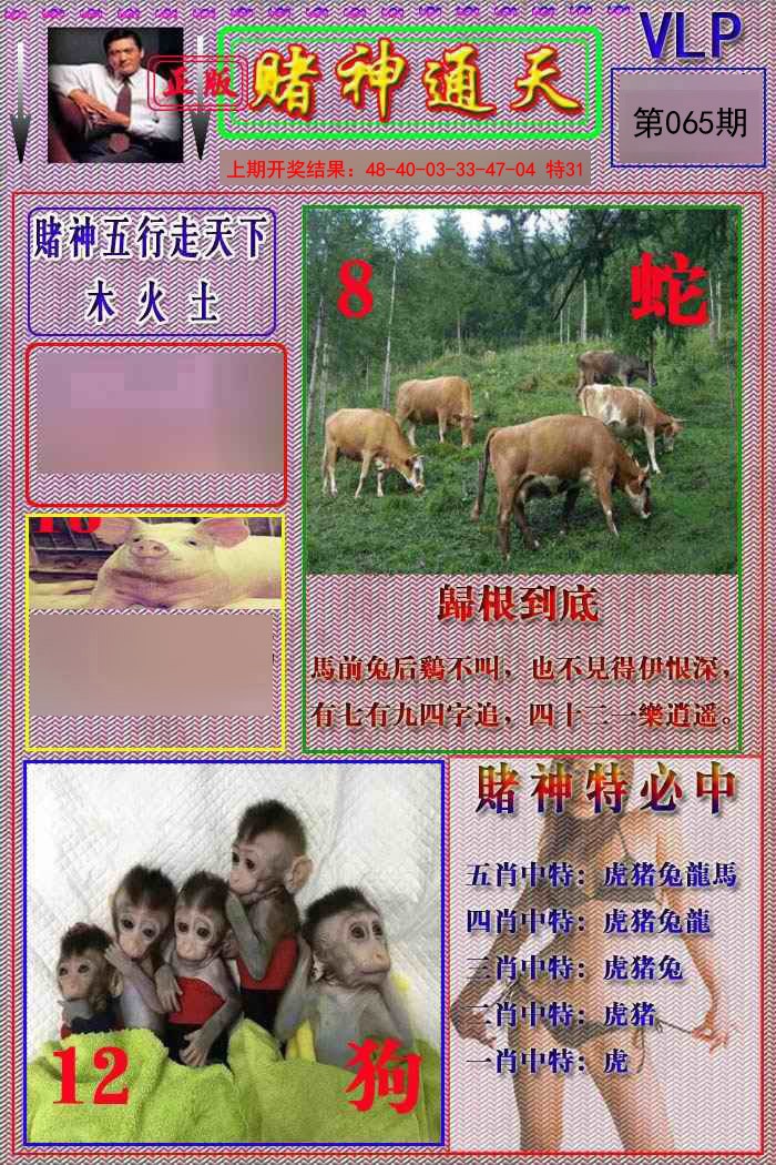 065期赌神通天报[图]