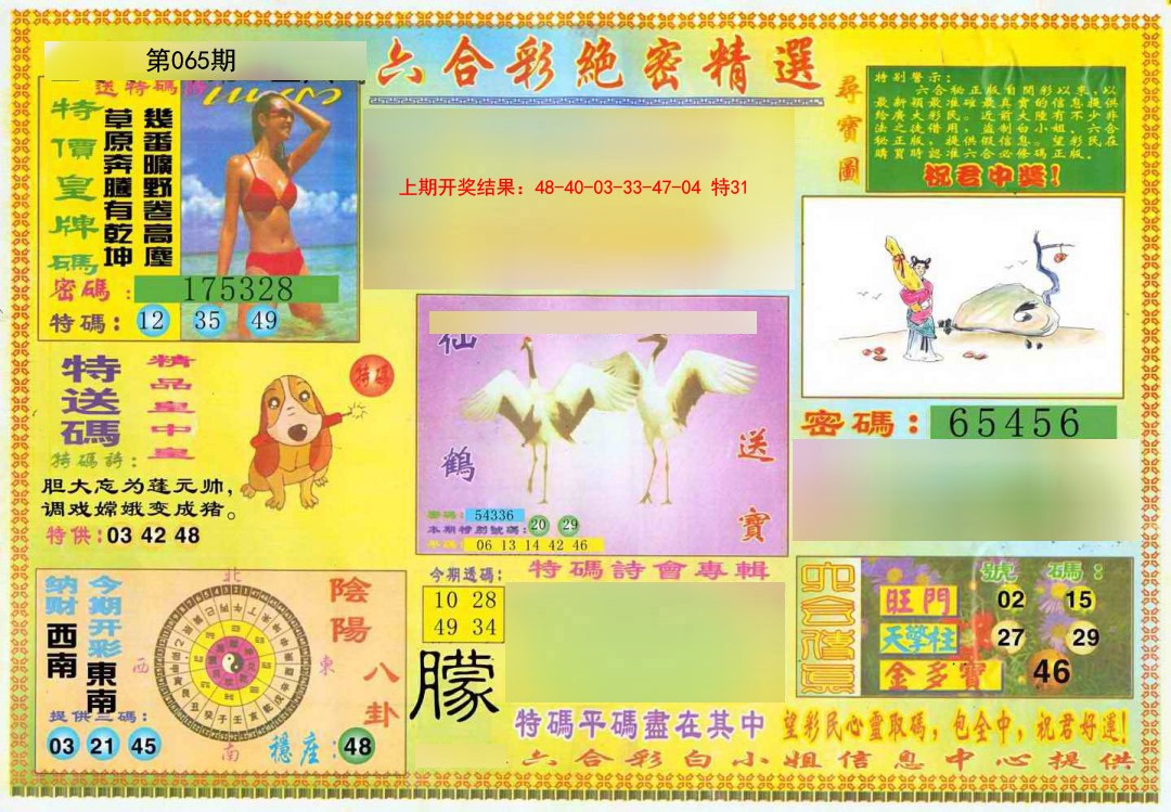 065期绝密精选A[图]