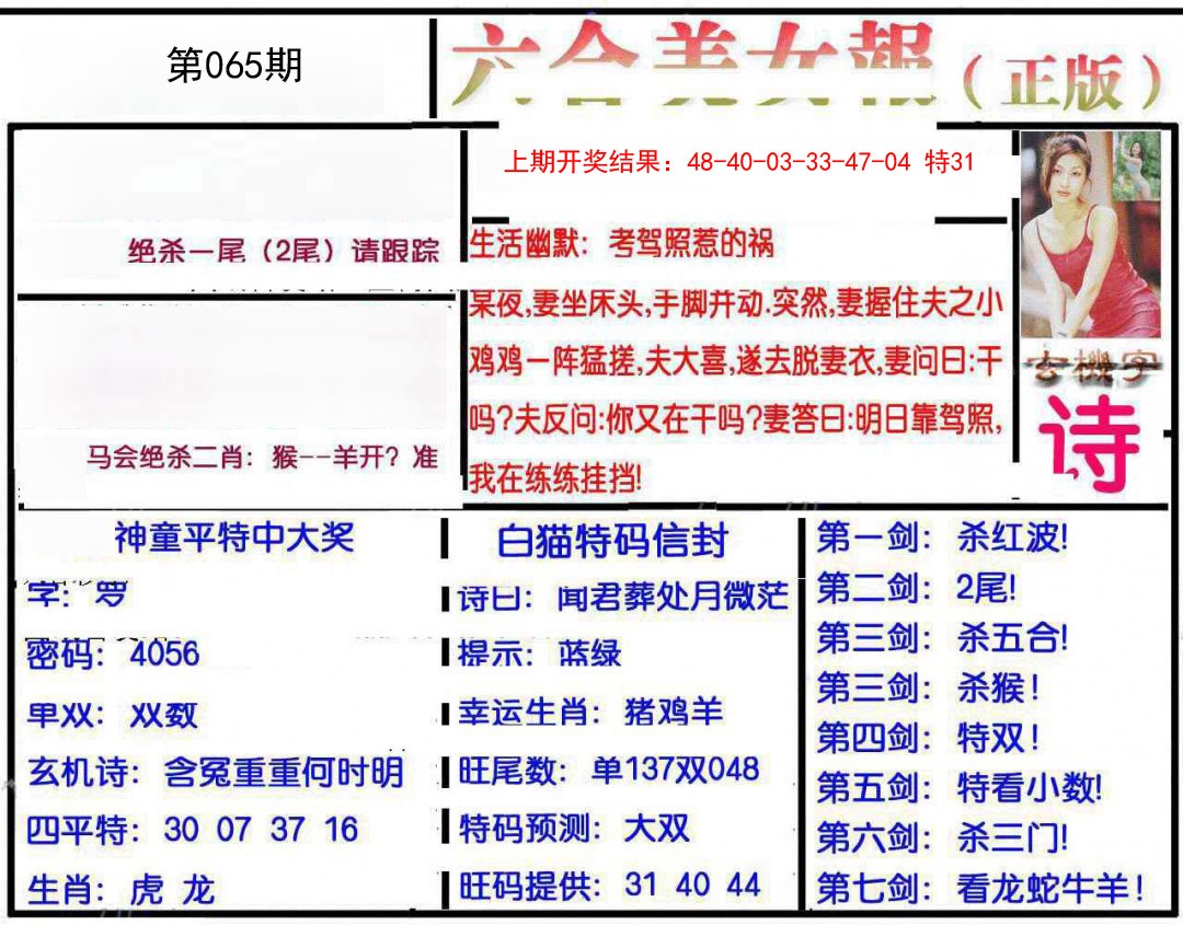 065期美女报[图]