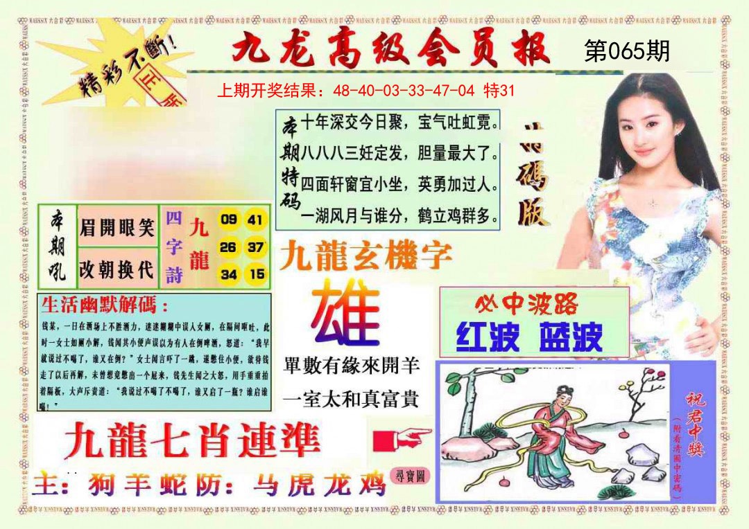 065期九龙高级会员报[图]