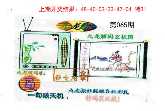 065期九龙报[图]