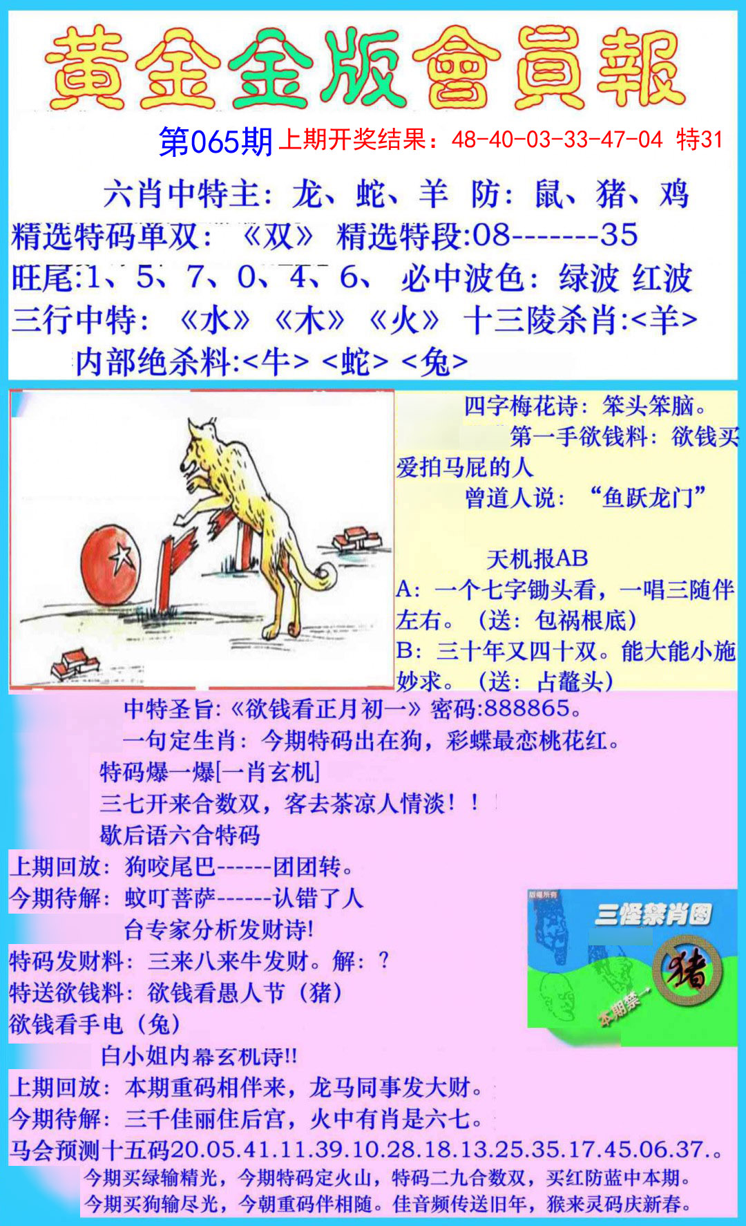 065期黄金金版会员报[图]