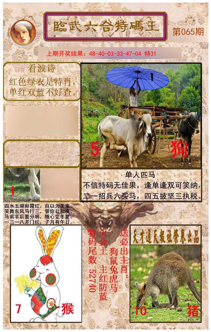 065期临武六合特码王[图]