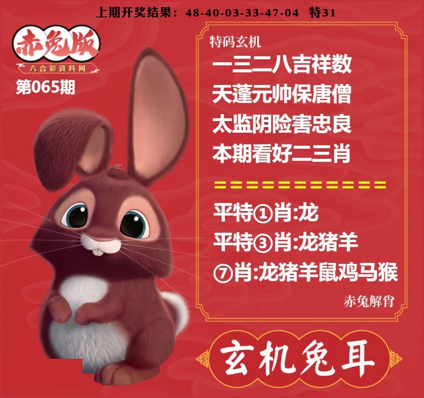 065期玄机兔耳[图]