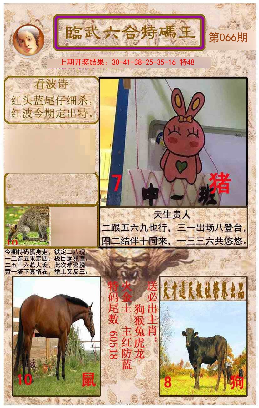066期临武六合特码王[图]