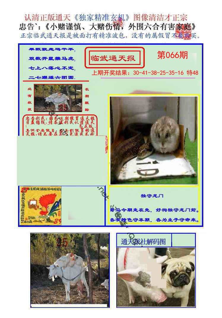 066期临武通天报[图]