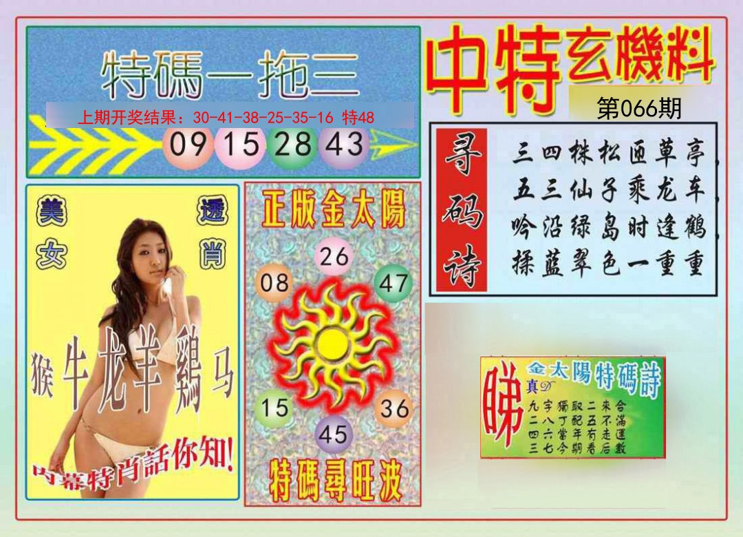 066期中特玄机料[图]