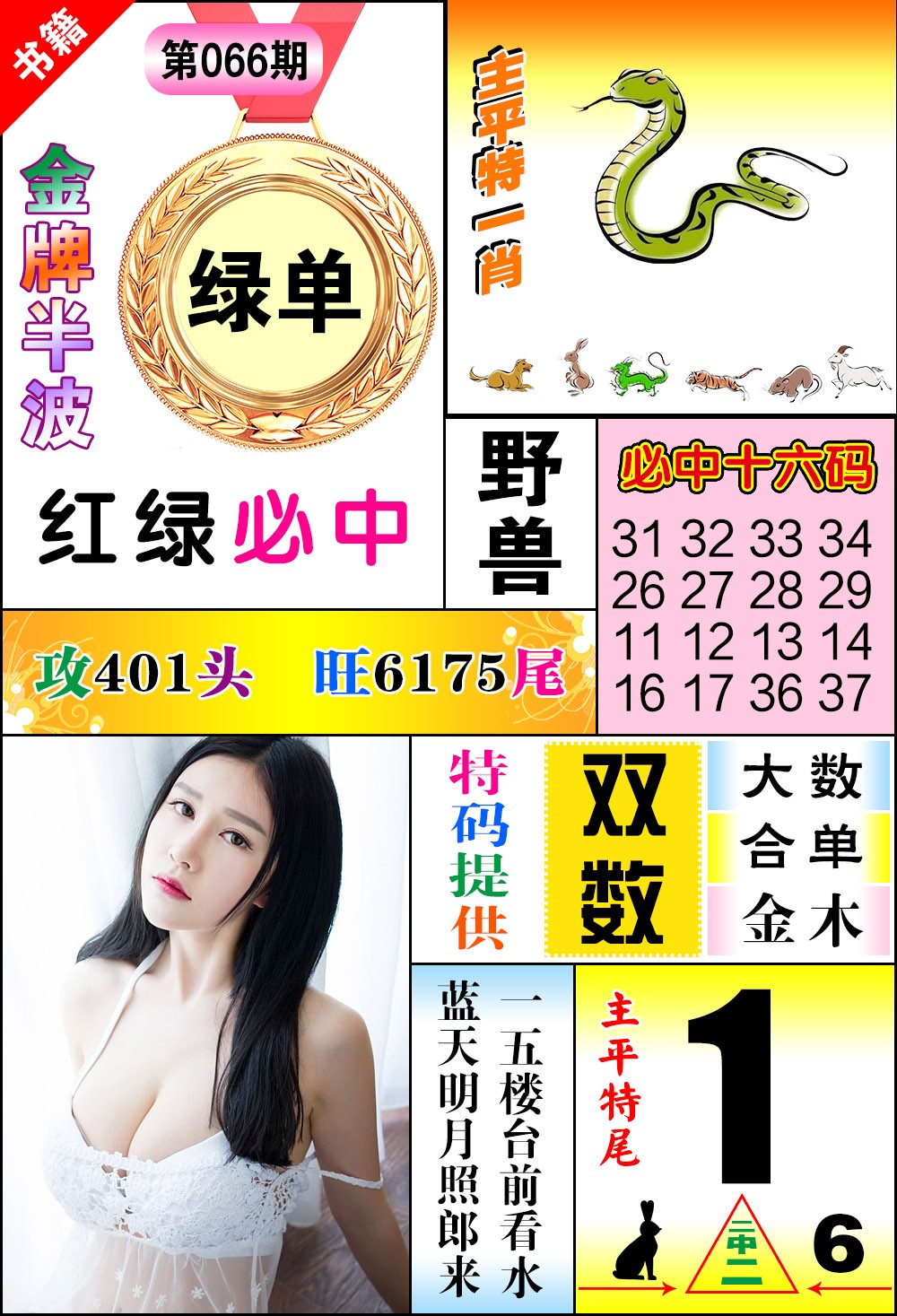 066期澳门金牌半波[图]
