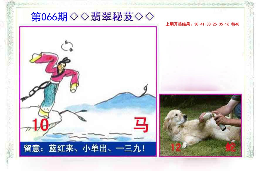 066期翡翠报[图]