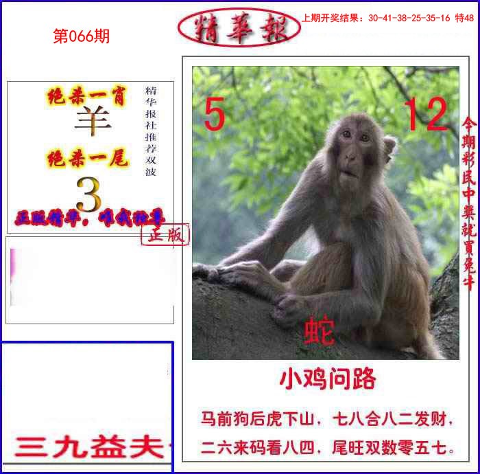 066期新精华报报[图]