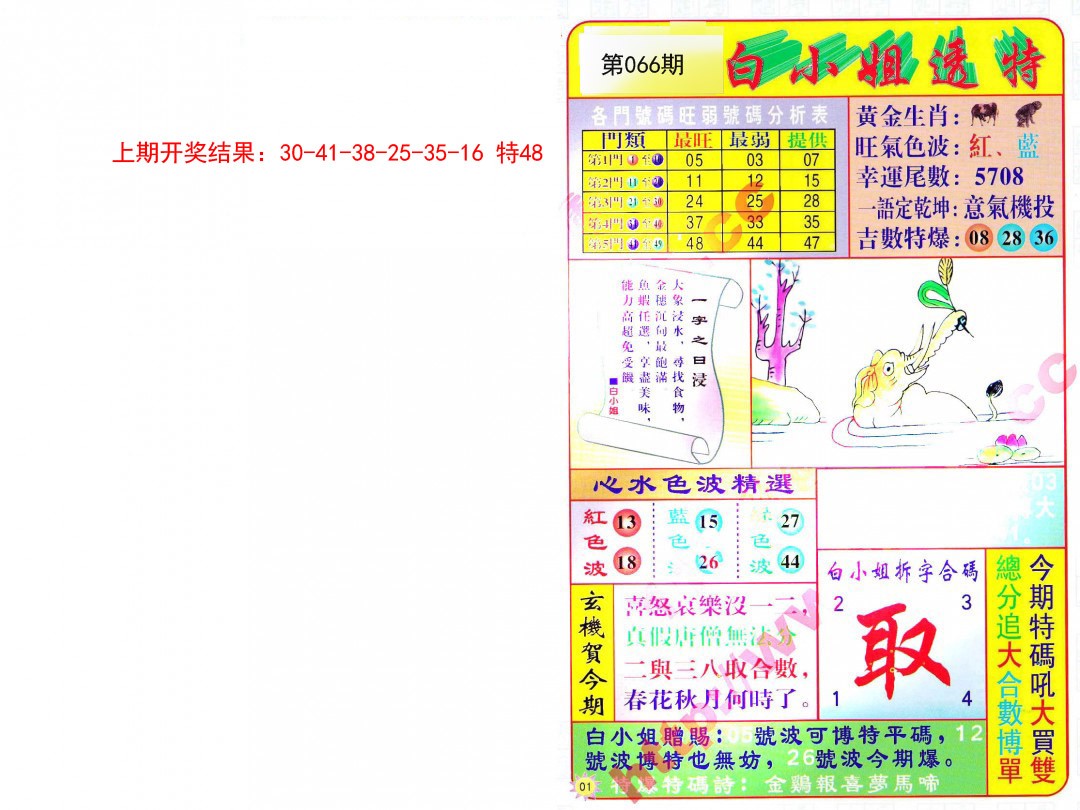 066期白小姐透特[图]