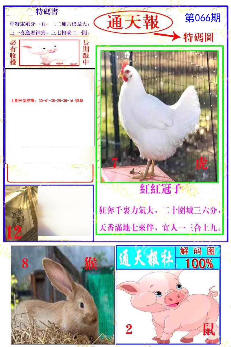 066期通天特解图[图]