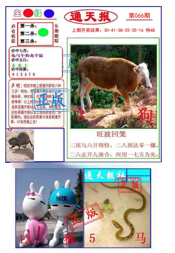 066期通天杀波图1[图]