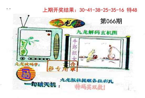 066期九龙报[图]