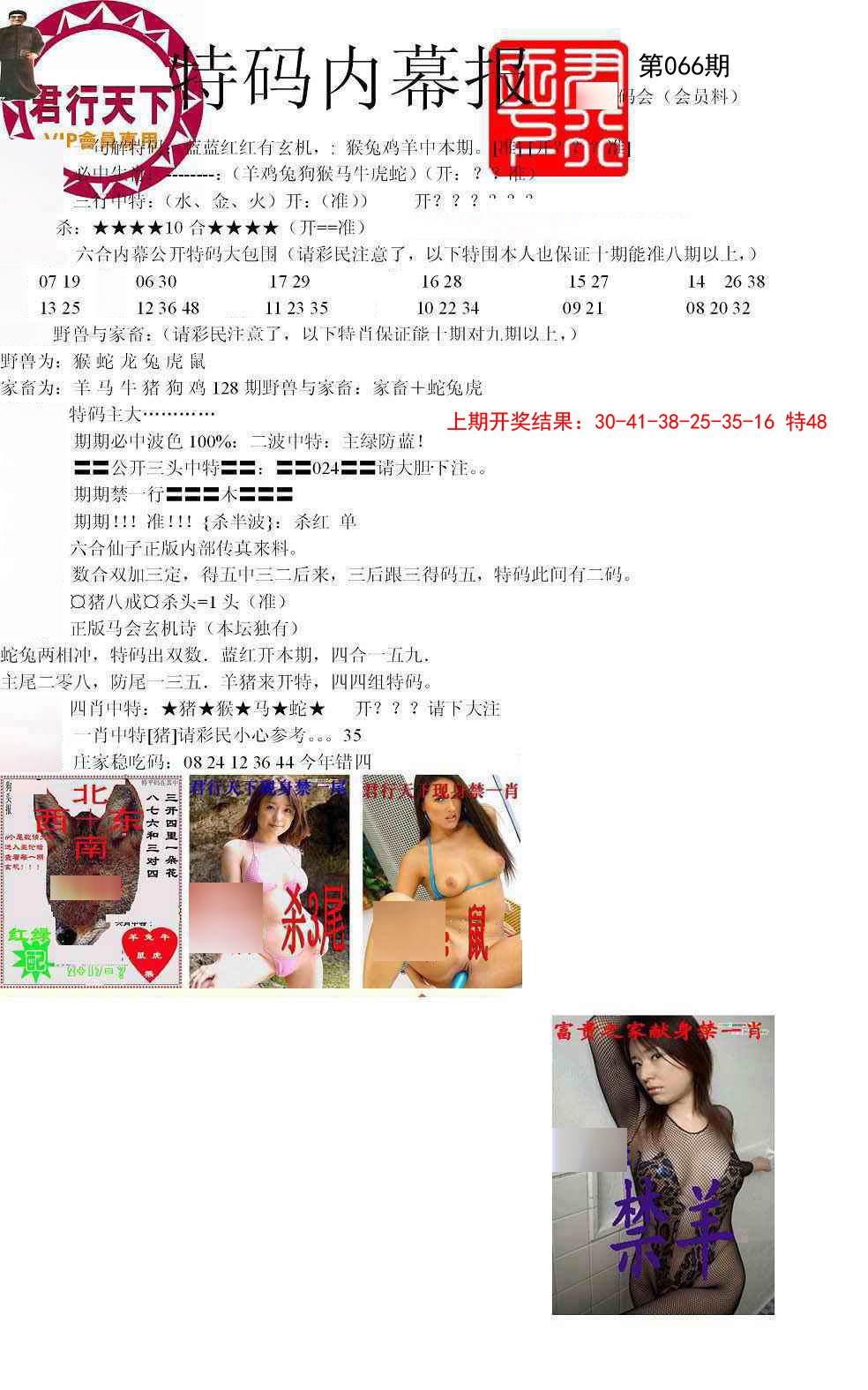 066期特码内幕报[图]