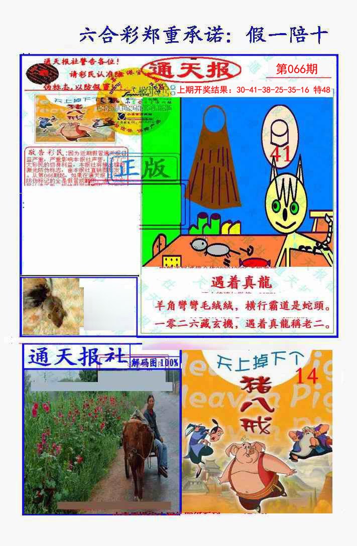 066期假一陪十通天报[图]