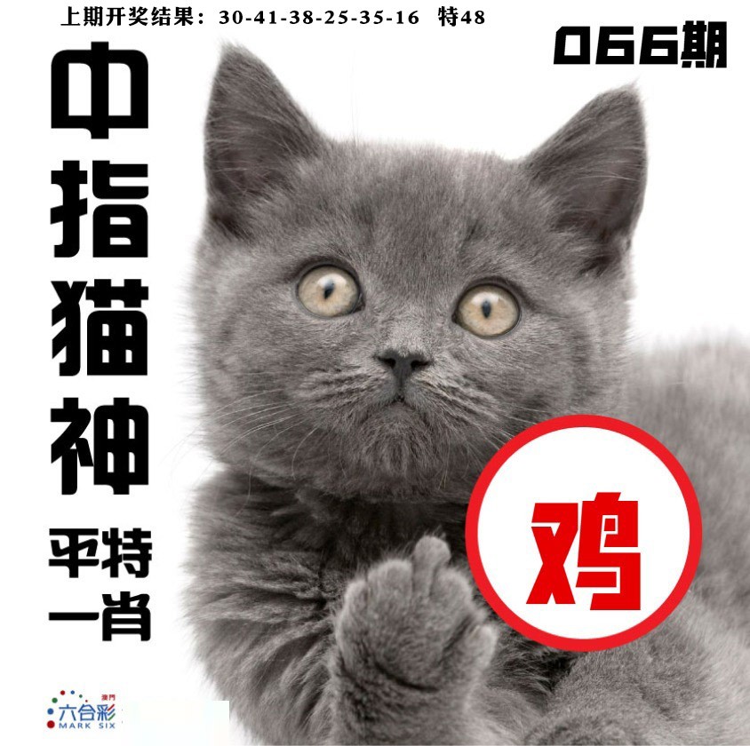 066期中指猫神[图]