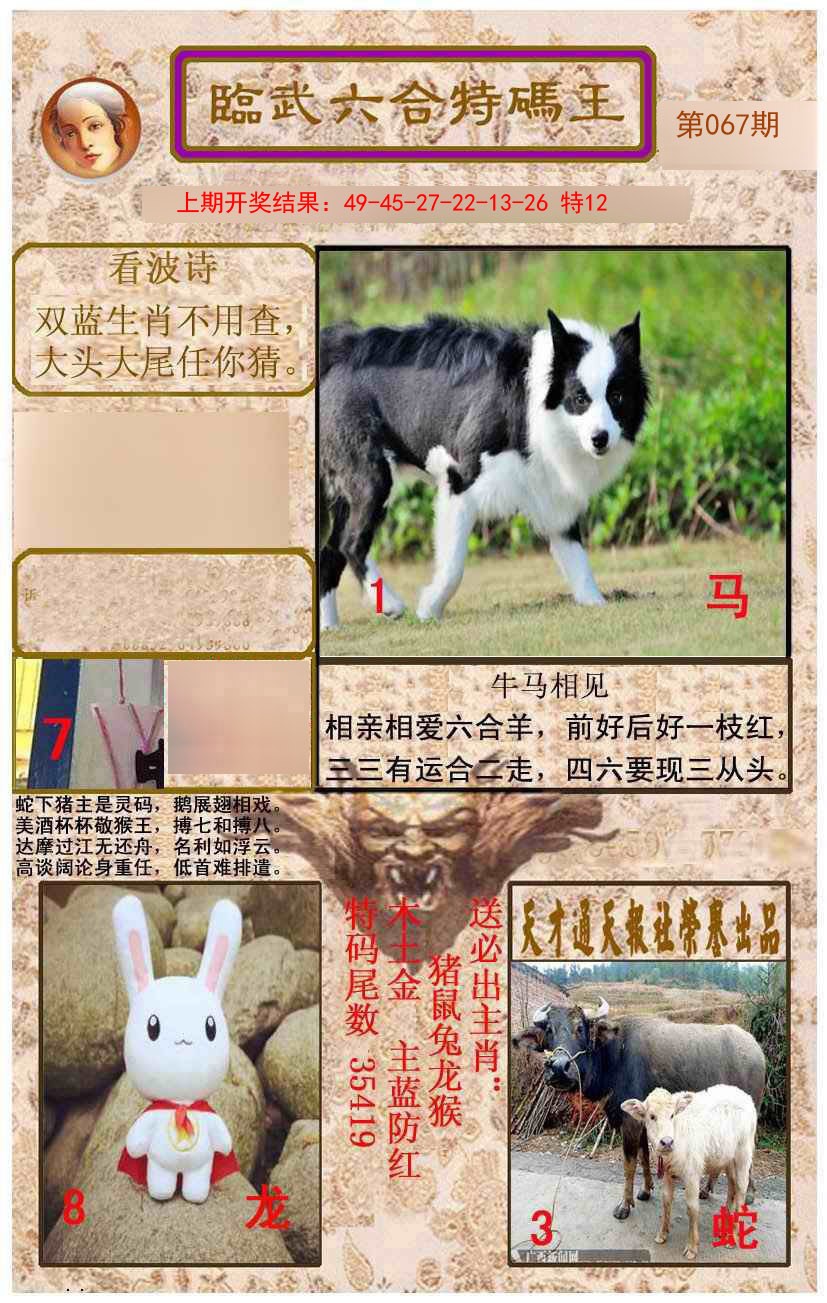 067期临武六合特码王[图]
