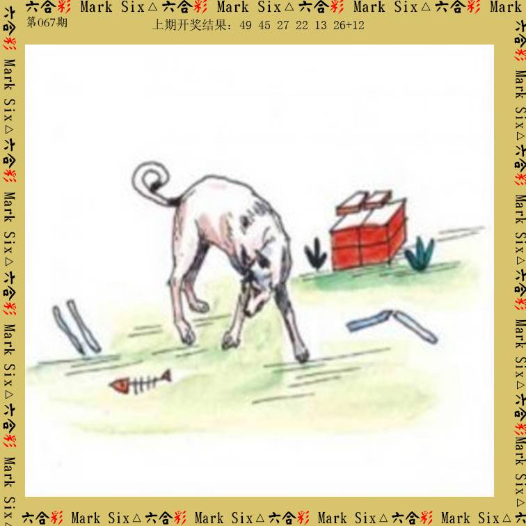 067期藏宝图[图]