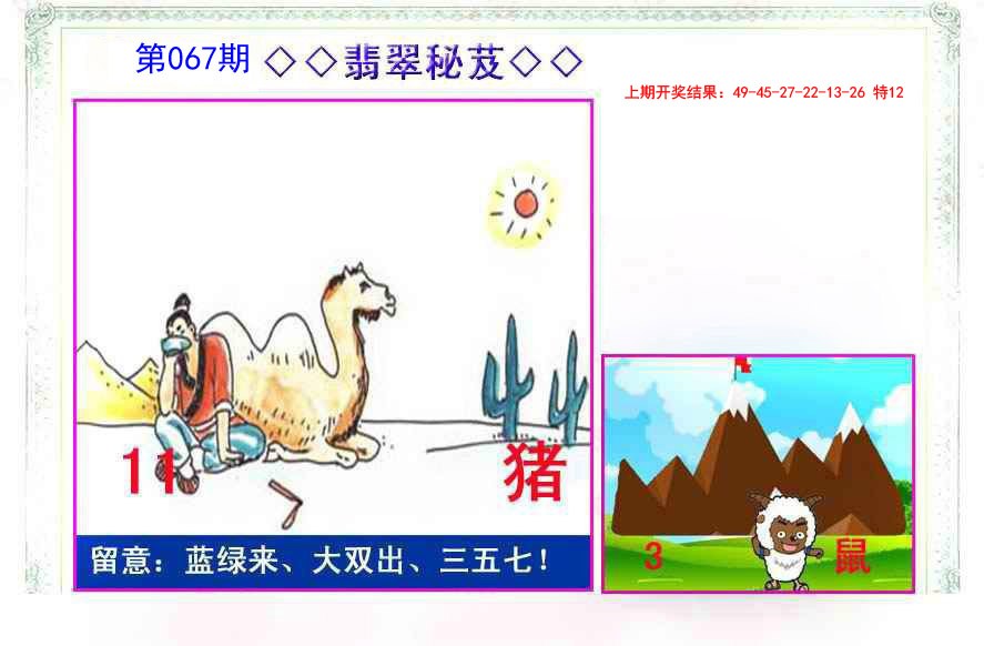 067期翡翠报[图]