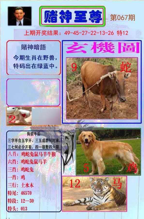 067期赌神至尊[图]