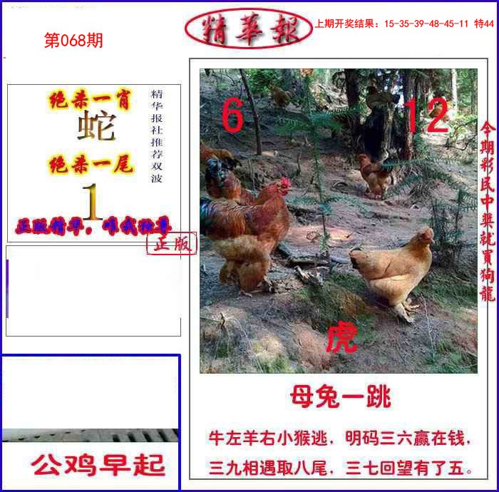 068期新精华报报[图]