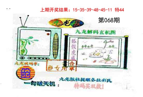 068期九龙报[图]