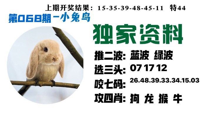 068期小兔鸟[图]