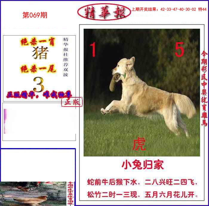 069期新精华报报[图]