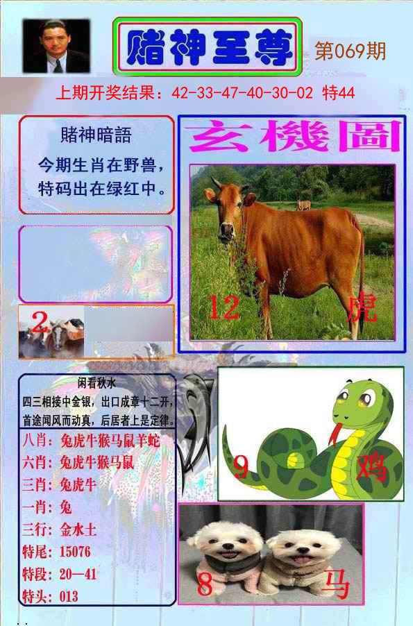 069期赌神至尊[图]