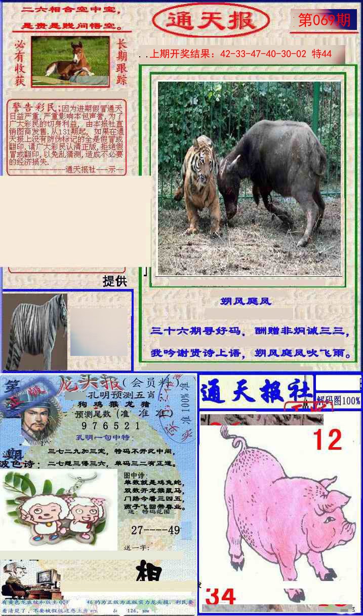 069期实力通天报[图]