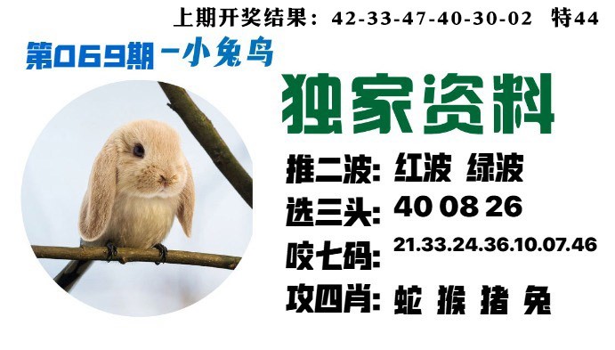 069期小兔鸟[图]