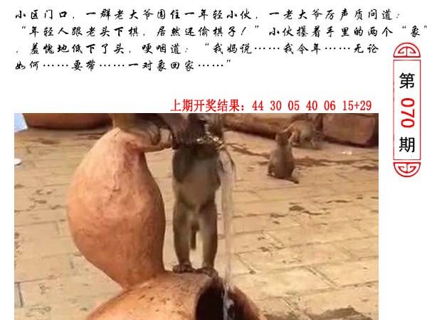 070期澳门生活幽默[图]