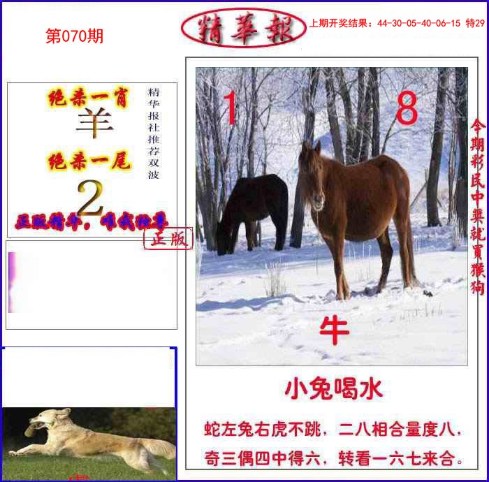 070期新精华报报[图]