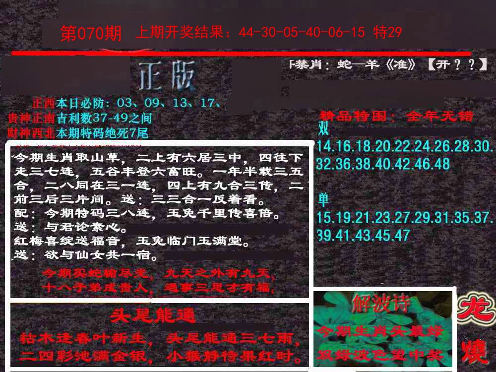 070期新港内幕[图]