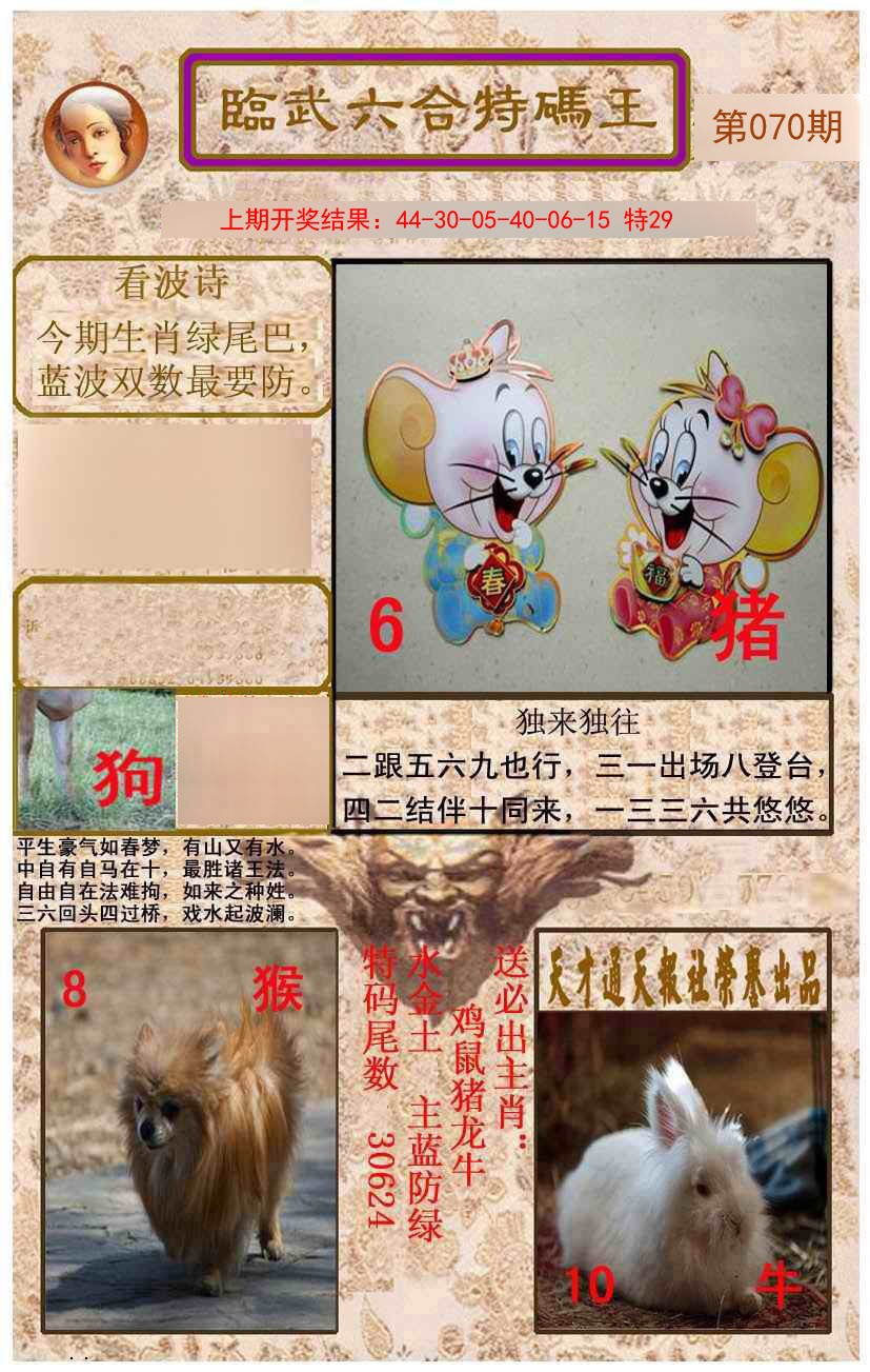 070期临武六合特码王[图]