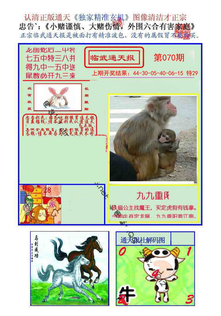 070期临武通天报[图]