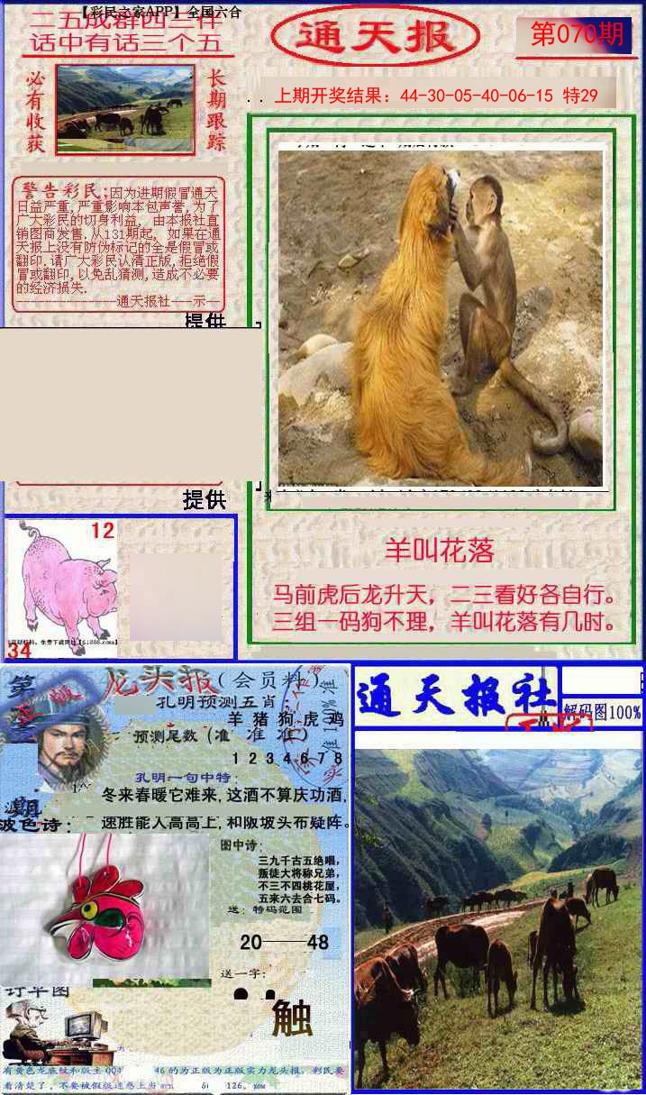 070期实力通天报[图]